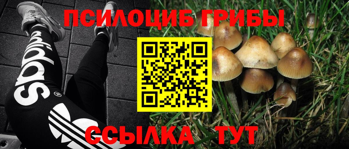 Псилоцибиновые грибы мухоморы Зерноград