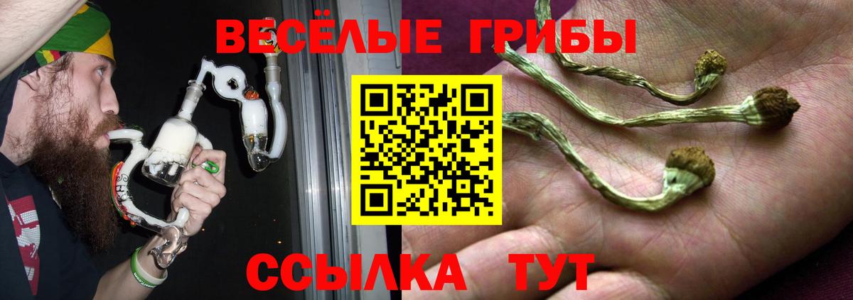 Зерноград  Галлюциногенные грибы Cubensis  Галлюциногенные грибы Psilocybine cubensis  где найти   Вход с VPN 