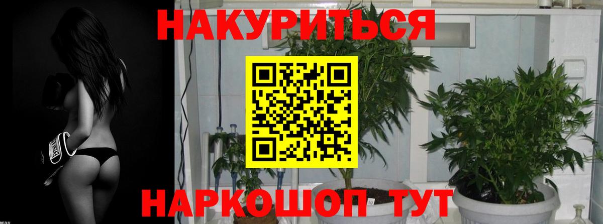 Канабис OG Kush Зерноград